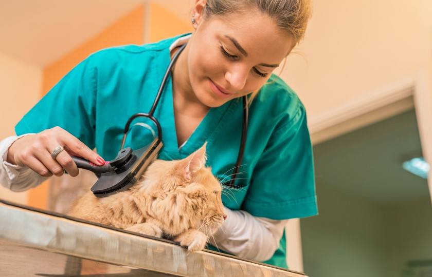 Solutions de collecte et gestion des déchets à risques chimiques et toxiques (DRCT) à prix avantageux pour les professionnels de la santé à Albi dans le Tarn (81)