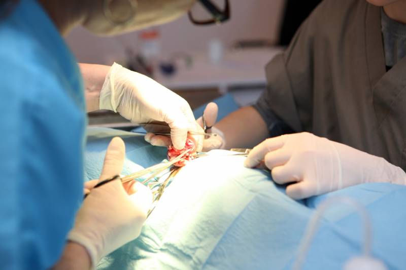 Collecte des déchets DASRI des cliniques vétérinaire à Montpellier Nîmes Béziers Narbonne Avignon