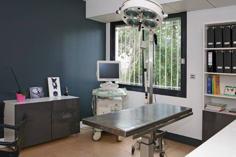 Collecte des déchets médicaux des vétérinaires sur Montpellier