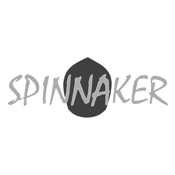 Développement, conseil & investissement