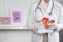 Nos prestations sur le secteur de à Nîmes dans le Gard (30)